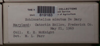 Image Associated With the Occurence